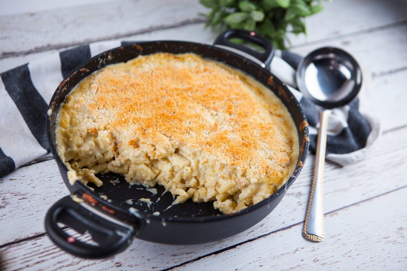 Italian Style Mac and Cheese with Cauliflower San Remo