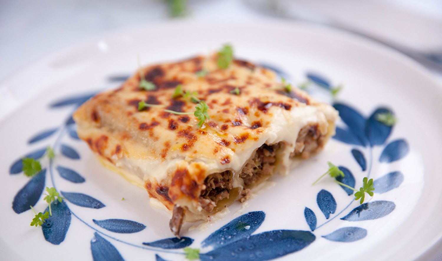 » Chicken, Mushroom And Leek Cannelloni With Cauliflower Béchamel