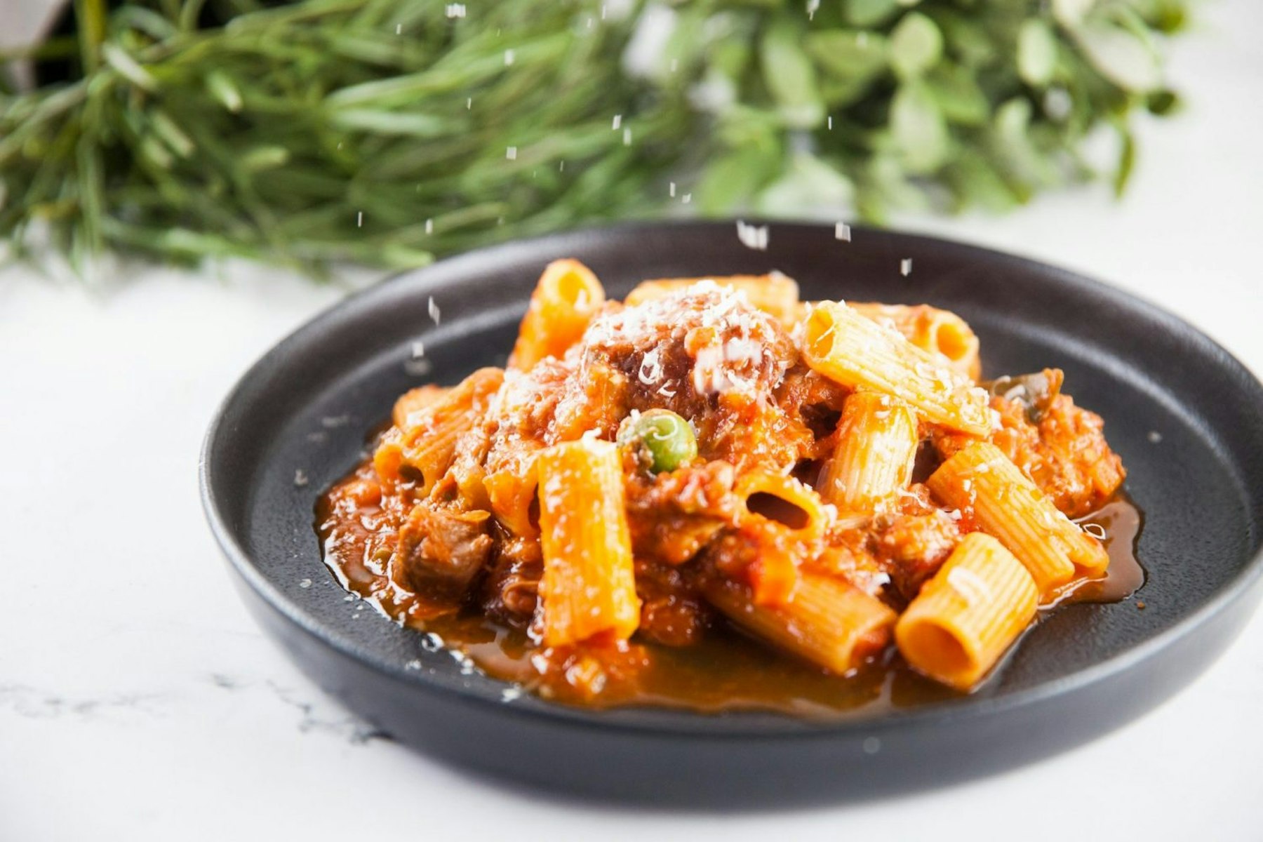 » Slow Braised Veal Ragu Rigatoni